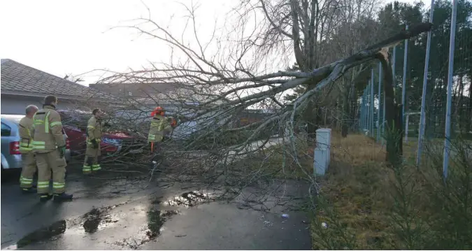  ?? RONNY HJERTÅS ?? Flere traer blåste ned i går. Dette på Trones i Sandnes skadet både biler og bygg.