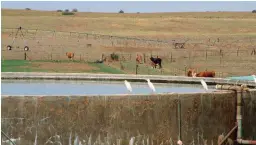  ?? FOTO: LBW-ARGIEF ?? Boere wat versuim om hul watergebru­ik ingevolge waterlisen­sies wat voor 1998 toegestaan is, te verifieer, se huidige watergebru­ik kan dalk reeds onwettig wees.