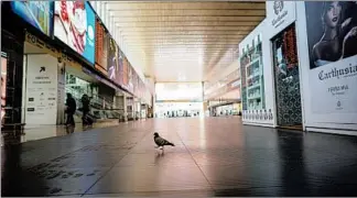  ?? ANDREW MEDICHINI/AP ?? A pigeon walks through an almost empty Termini main train station Monday in Rome.