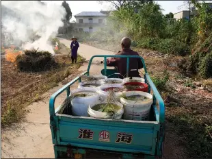  ?? ?? Duan Yunzhen, 73, collects water from a village pond Oct. 31 to water his crops during drought season along Poyang Lake in north-central China’s Jiangxi province.