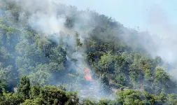  ??  ?? Le fiamme e l’elicottero
I vigili del fuoco hanno impiegato ore per spegnere i roghi appiccati sui Colli. Sotto uno dei maggiori focolai di incendio