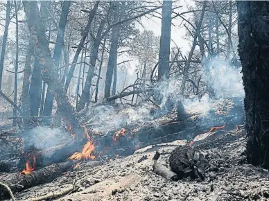  ?? PERE DURAN / NORD MEDIA ?? El viento y el calor extremo avivaron ayer las llamas en algunos puntos del perímetro