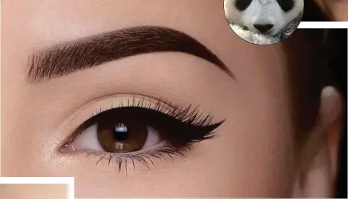  ??  ?? ABOVE: Keep your eyebrows in shape for days when you are pressed for time.