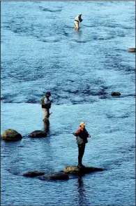  ?? Arkansas Democrat-gazette ?? Fly fishermen cast for trout on the Little Red River near Heber Springs. The Greers Ferry National Fish Hatchery puts $113 into the economy for every $1 of its budget, according to the hatchery’s website.