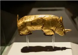  ?? — AFP ?? The “golden rhino” figurine is displayed at the University of Pretoria in South Africa. The Mapungubwe Golden Rhino is believed to have been made by people living in the northern region of South Africa between 1220 and 1290 AD.