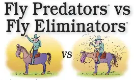 Fly Predators vs Fly Eliminator­s - PressReader