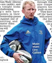  ??  ?? Main man: Leo Cullen