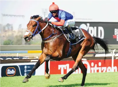  ?? Picture JC Photograph­ics ?? TWO ENTRIES. Big Bear drew wide in the Gauteng Guineas but has landed No 4 draw for the Grade 2 Hawaii Stakes over 1400m at Turffontei­n on Saturday 3 March.