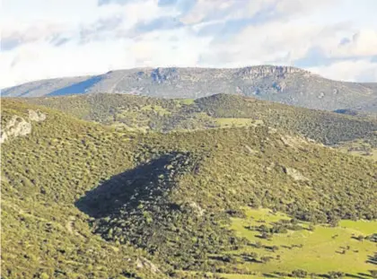  ?? RAFA SÁNCHEZ ?? La sierra de Santa Eufemia cuenta con importante­s zonas adehesadas y de cultivo.