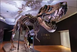  ?? AP PHOTO — MARY ALTAFFER ?? Stan, one of the largest and most complete Tyrannosau­rus rex fossils discovered, is on display Sept. 15, 2020, at Christie’s in New York.