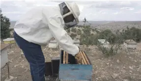  ?? Amy McConaghy / The National ?? Umm Qais beekeeper Youssef Saiyahin began tending hives when he was 12 years old