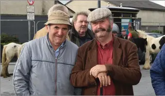  ??  ?? Bernie O’Connell from Lixnaw and John Cronin from Killorglin looking every inch the horse and pony experts they are .