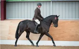  ?? ?? Top riding horse Ike Geuzenhof (Richard Telford) is reserve supreme