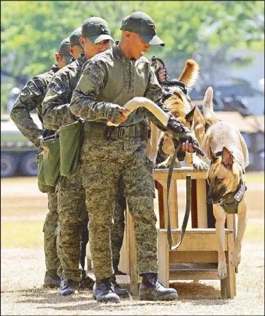  ?? KRIZJOHN ROSALES ??  Members of the Philippine Army K9 unit hold a capability demonstrat­ion during their 122nd founding anniversar­y at Fort Bonifacio in Taguig City on Saturday.