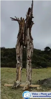  ?? Photo: Barry Greyvenste­in ?? The sculpture, Uhuru, made of driftwood found in Great Brak River and surrounds.