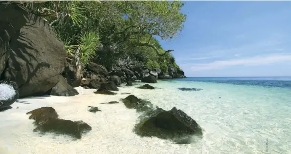  ??  ?? Apo Island is as beautiful topside as it is below the surface
ABOVE