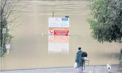  ?? REUTERS ?? A resident and her dog walk along the overflowin­g Russian River in Guernevill­e, California on Sunday.