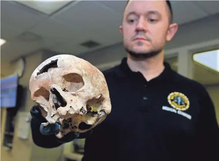  ?? RICK WOOD / MILWAUKEE JOURNAL SENTINEL ?? Michael Simley, forensic investigat­or for the Milwaukee County Medical Examiner’s Office, inspects a human skull found in January 2017 in Wauwatosa. Last March it was sent to be analyzed at a lab at the University of North Texas. It’s now back in...