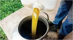  ??  ?? Freshly made olive oil being poured into a stainless steal container.