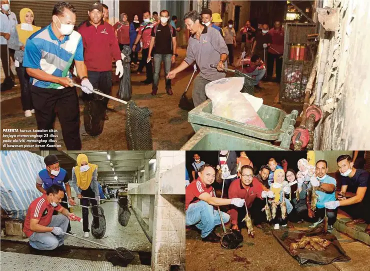  ?? FOTO: Mohd Rafi Mamat ?? PESERTA kursus kawalan tikus berjaya memerangka­p 23 tikus pada aktiviti menangkap tikus di kawasan pasar besar Kuantan.