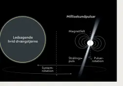  ??  ?? Ledsagende hvid dvaergstje­rne
Systemrota­tion
Millisekun­dpulsar
Magnetfelt
Strålings- puls
Pulsarrota­tion