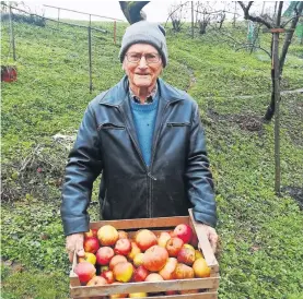  ?? / Foto: osebni arhiv ?? Kmalu 103-letni Idrijčan Ivan Bevk še vedno skrbi za svoje posestvo, pobira jabolka, peče zavitek in kruh.