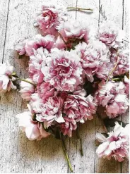  ?? Fleur McHarg / “The Flower Expert” ?? Peonies combine well with other pretty flowers like viburnum or azaleas. “Of course, these blousy ladies do perfectly well all on their own,” McHarg says.