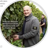  ?? ?? Auch das deutsche Weingut Emil Bauer und Söhne setzt auf Chenin Blanc.