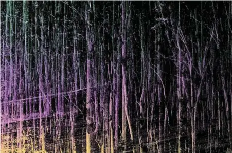  ??  ?? Dalla mostra Cambio in corso alla Serpentine
Gallery di Londra, una scansione laser della foresta di Clingmans Dome nel parco nazionale Great Smoky Mountains, Stati Uniti.
Elaborazio­ne SCBI/ ForestGEO, 2019 (a destra). Una bozza dell’installazi­one per La Rinascente di Milano in occasione della prossima design week. Courtesy
Formafanta­sma (sotto). I pannelli tessili dell’allestimen­to al Rijksmuseu­m sono realizzati con le stoffe della collezione
Kvadrat/Raf Simons. Foto Gregorio Gonella (nella pagina accanto)