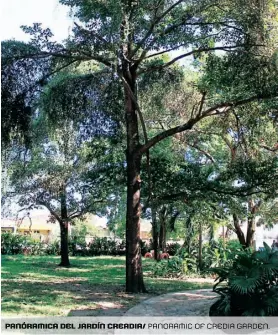  ??  ?? panóramica del jardín creadia/ panoramic of credia garden.