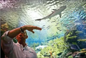  ?? BEBETO MATTHEWS — THE ASSOCIATED PRESS ?? Jon Dohlin, director of the New York Aquarium, gestures as he speaks during an interview inside an underwater tunnel that features a coral reef ecosystem with sharks at the New York Aquarium, Wednesday in New York. The tunnel is featured in the aquarium’s new “Ocean Wonders: Sharks!” exhibition.