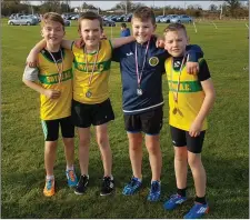  ??  ?? The boys U-10 team that finished second; Calum Byrne, Tadgh Forde Dunne, Cormac McEvoy and Luca McLoughlin.