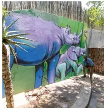  ?? ?? LEFT An unexpected surprise on the back walls of the Starbed Suites at Jaci’s Safari Lodge are vibrant wildlife murals by Cape Town artist Falko One.