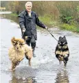  ??  ?? The deluges of rain that hit places including Welney, Norfolk, are coming to an end