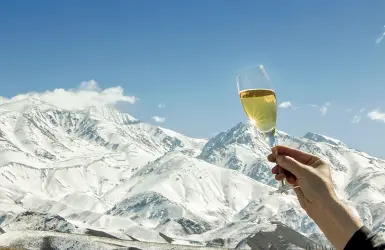  ??  ?? In alto i calici
Vette e vini con le bollicine nella rassegna che valorizza il «Trentodoc» fiore all’occhiello della produzione vinicola