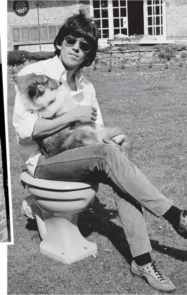  ??  ?? Keef’s beast of burden? Richards larks on a loo with his dog in the Redlands garden
