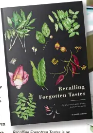  ??  ?? Recalling Forgotten Tastes is an illustrate­d collection of tasteful forest edibles and plants.