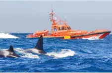  ?? ?? Spanish marine rescue crews are increasing­ly being called on to come to the aid of vessels attacked by orcas. Photo: Spanish Marine Rescue Services.