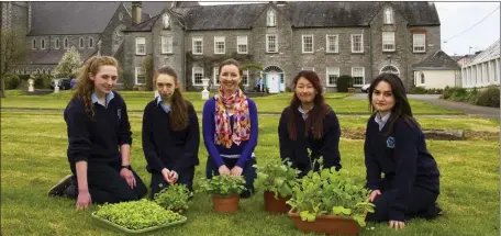  ?? Photo by John Reidy ?? The ‘One Good Idea’ team. With teacher, Niamh Kelly on the Presentati­on Convent Garden are from left: Ciara Murphy, Christina O’Connor, Ms. Kelly, Ayano Ikai and Jackie Bonilla.