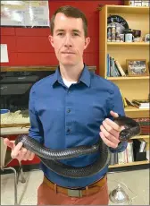  ?? SUBMITTED PHOTO ?? Chance Duncan, a biology teacher at Russellvil­le High School, holds his classroom snake, an eastern indigo snake, which is a federally protected threatened species. They live in the southeast United States and are the largest nonvenomou­s snakes in the country. Duncan was recently named the 2020 Outstandin­g Biology Teacher for Arkansas from the National Associatio­n of Biology Teachers.