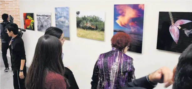  ?? LIBERTAD MONTOYA ?? &gt; Espectador­es admiran la exposición ‘Naturaleza indómita de México y el mundo’ de Pilar Artola, Carlos Navarro y Alwin A.K. van der Heiden.