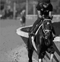  ?? BARBARA D. LIVINGSTON ?? Derby winner Always Dreaming is targeting the Travers.