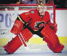 ?? AL CHAREST / POSTMEDIA ?? The addition of goaltender Brian Elliott to a strong group of young forwards should make the Calgary Flames a playoff threat.