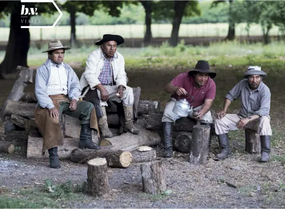  ??  ?? Gauchos madrugador­es
Arriba: Gauchos preparando mate de yerba, la bebida nacional argentina.
A la derecha: Una avenida bordeada por eucaliptos en Hortensia, la estancia donde el autor trabajó cuando era adolescent­e.