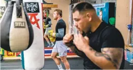  ?? RYAN HAFEY ?? Andy Ruiz Jr. works out alongside No. 1 pound-for-pound boxer Canelo Alvarez.