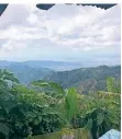  ??  ?? Der Blick von der Hochebene der Blue Mountains.
Laura Dixkens mit zwei Schülern der Primary School in Mandeville.