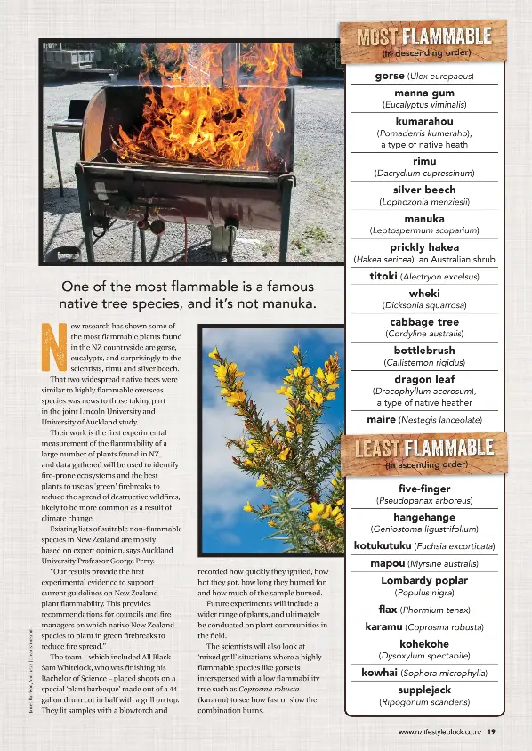 The best & worst flammable trees & 7 organic ways to fight weeds