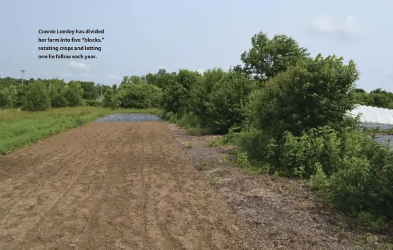  ??  ?? connie lemley has divided her farm into five “blocks,” rotating crops and letting one lie fallow each year.