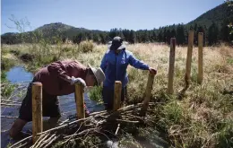  ?? PHOTOS BY OLIVIA HARLOW THE NEW MEXICAN ?? Jeff Padgett, a volunteer, left, and Sarah Reid, an archaeolog­ical technician for the Jemez forest, help construct a beaver-style dam Thursday along a streambed north of Jemez Pueblo.