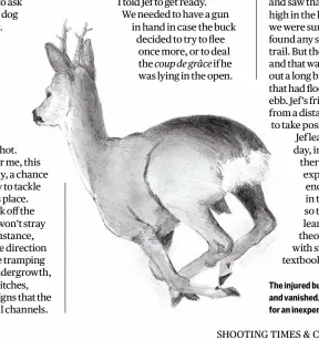  ?? ?? The injured buck had bolted away and vanished, posing a challenge for an inexperien­ced handler